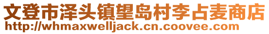 文登市澤頭鎮(zhèn)望島村李占麥商店