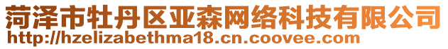 菏澤市牡丹區(qū)亞森網(wǎng)絡(luò)科技有限公司