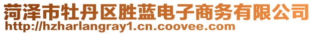 菏澤市牡丹區(qū)勝藍(lán)電子商務(wù)有限公司