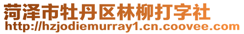 菏澤市牡丹區(qū)林柳打字社