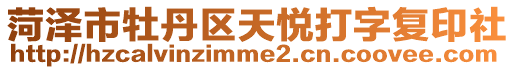 菏澤市牡丹區天悅打字復印社