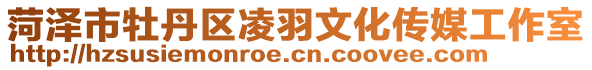 菏澤市牡丹區凌羽文化傳媒工作室