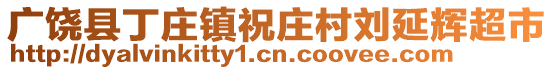 廣饒縣丁莊鎮(zhèn)祝莊村劉延輝超市