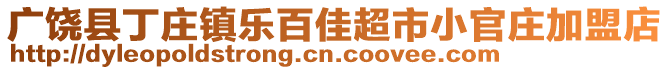 廣饒縣丁莊鎮(zhèn)樂百佳超市小官莊加盟店