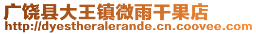 廣饒縣大王鎮(zhèn)微雨干果店