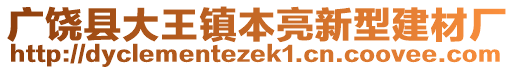 廣饒縣大王鎮(zhèn)本亮新型建材廠