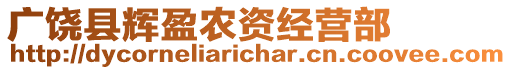 廣饒縣輝盈農(nóng)資經(jīng)營(yíng)部