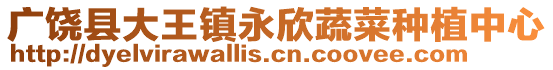 廣饒縣大王鎮永欣蔬菜種植中心