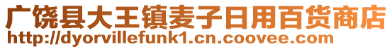 广饶县大王镇麦子日用百货商店