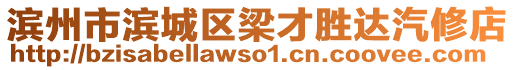 濱州市濱城區(qū)梁才勝達(dá)汽修店