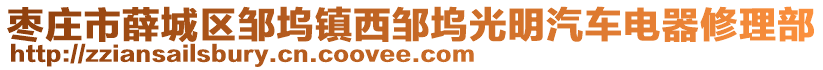 棗莊市薛城區(qū)鄒塢鎮(zhèn)西鄒塢光明汽車電器修理部