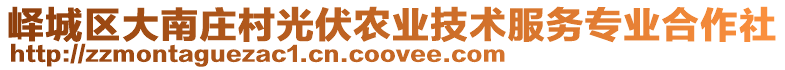 嶧城區(qū)大南莊村光伏農(nóng)業(yè)技術(shù)服務(wù)專業(yè)合作社