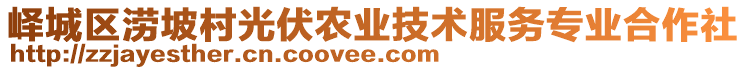 嶧城區(qū)澇坡村光伏農(nóng)業(yè)技術(shù)服務(wù)專業(yè)合作社