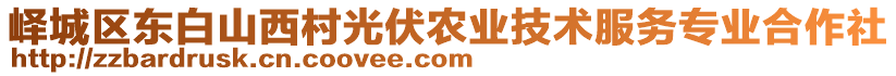 嶧城區(qū)東白山西村光伏農(nóng)業(yè)技術(shù)服務(wù)專業(yè)合作社