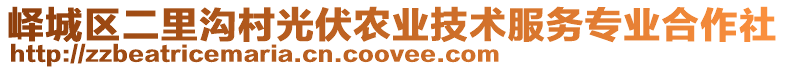 嶧城區(qū)二里溝村光伏農(nóng)業(yè)技術(shù)服務(wù)專業(yè)合作社