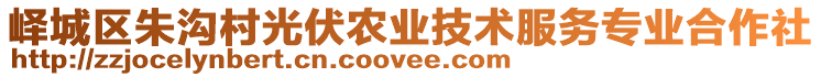 嶧城區(qū)朱溝村光伏農(nóng)業(yè)技術(shù)服務(wù)專業(yè)合作社