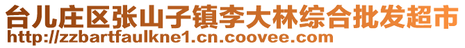 臺兒莊區(qū)張山子鎮(zhèn)李大林綜合批發(fā)超市