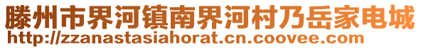 滕州市界河鎮(zhèn)南界河村乃岳家電城