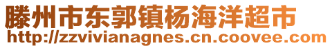 滕州市東郭鎮(zhèn)楊海洋超市