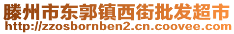 滕州市東郭鎮(zhèn)西街批發(fā)超市