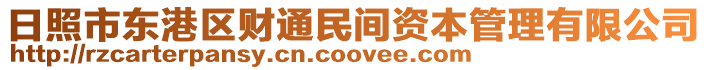日照市東港區(qū)財通民間資本管理有限公司