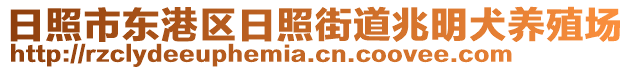 日照市東港區(qū)日照街道兆明犬養(yǎng)殖場(chǎng)
