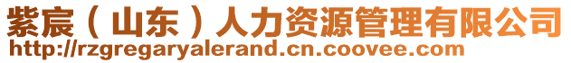 紫宸(山東)人力資源管理有限公司