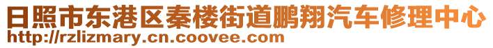 日照市東港區(qū)秦樓街道鵬翔汽車修理中心