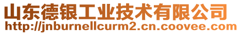 山東德銀工業(yè)技術(shù)有限公司