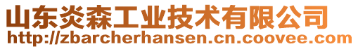 山東炎森工業(yè)技術有限公司