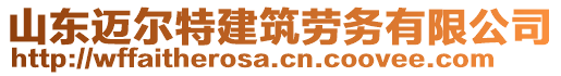 山東邁爾特建筑勞務(wù)有限公司