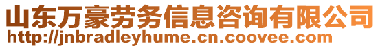 山東萬豪勞務(wù)信息咨詢有限公司