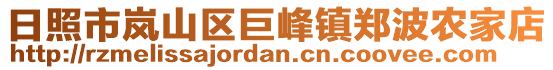 日照市岚山区巨峰镇郑波农家店