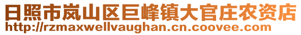 日照市嵐山區(qū)巨峰鎮(zhèn)大官莊農(nóng)資店