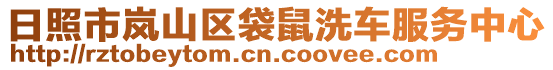日照市嵐山區(qū)袋鼠洗車服務(wù)中心