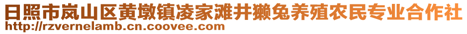 日照市嵐山區(qū)黃墩鎮(zhèn)凌家灘井獺兔養(yǎng)殖農(nóng)民專業(yè)合作社