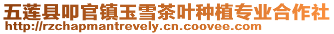 五蓮縣叩官鎮(zhèn)玉雪茶葉種植專業(yè)合作社