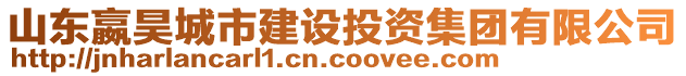 山東嬴昊城市建設(shè)投資集團(tuán)有限公司