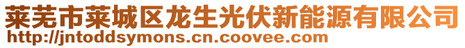 莱芜市莱城区龙生光伏新能源有限公司