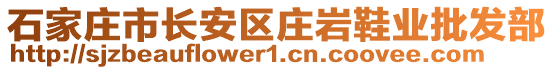 石家莊市長安區(qū)莊巖鞋業(yè)批發(fā)部