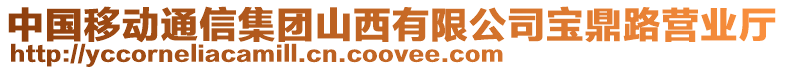 中國移動通信集團山西有限公司寶鼎路營業(yè)廳