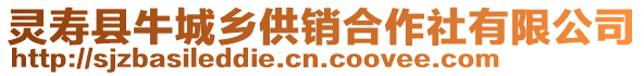 灵寿县牛城乡供销合作社有限公司