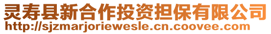 靈壽縣新合作投資擔(dān)保有限公司