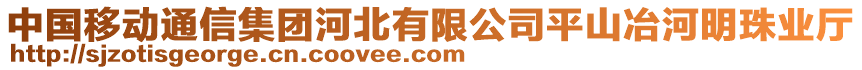 中國移動通信集團(tuán)河北有限公司平山冶河明珠業(yè)廳