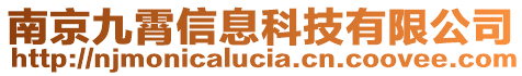 南京九霄信息科技有限公司