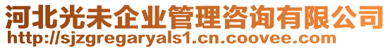 河北光未企業(yè)管理咨詢有限公司