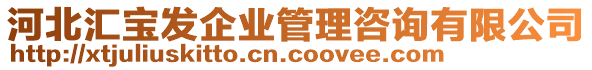 河北匯寶發(fā)企業(yè)管理咨詢有限公司