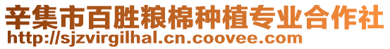 辛集市百勝糧棉種植專業(yè)合作社