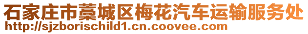 石家庄市藁城区梅花汽车运输服务处