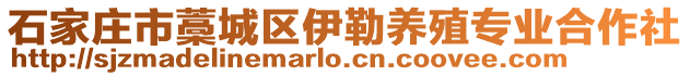 石家庄市藁城区伊勒养殖专业合作社